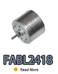 BL2418i, BL2418, B2418M, 24mm diâmetro brushless dc motor elétrico com rotor interno.webp